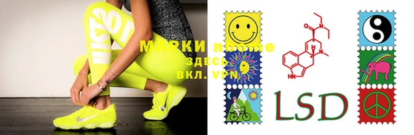 стаф Вязники