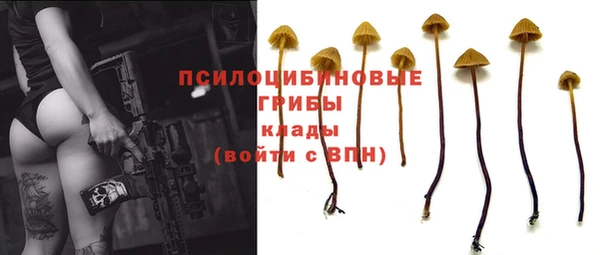 стаф Вязники