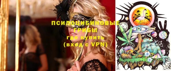 стаф Вязники